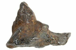 Sericho Pallasite Meteorite ( g) Metal Skeleton #266966