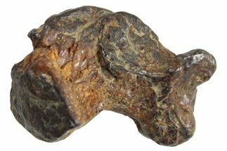 Sericho Pallasite Meteorite Metal Skeletons - Kenya #267094