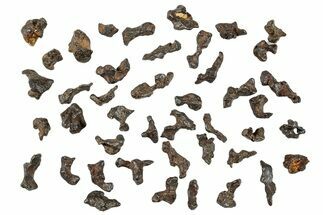 Lot: Small Sericho Pallasite Meteorite Metal Skeletons ( grams) #267020