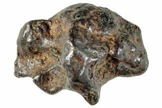Sericho Pallasite Meteorite ( g) Metal Skeleton #267385