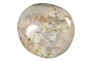 Polished Ocean Jasper Stone - New Deposit #261195