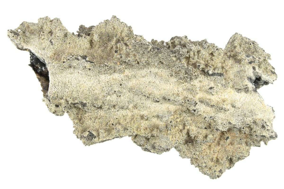 4-6-fulgurite-petrified-lightning-268485-for-sale-fossilera