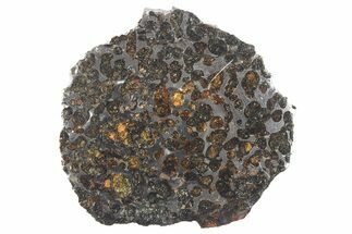 Polished Sericho Pallasite Meteorite ( g) Slice - Kenya #269064