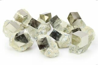 Shiny Natural Pyrite Cubes in Rock - Navajun, Spain #269654