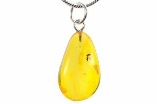 Polished Baltic Amber Pendant (Necklace) - Contains Hymenopteran! #270726
