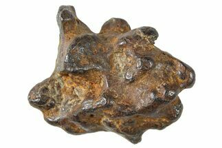 Sericho Pallasite Meteorite ( g) Metal Skeleton #267141