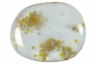 Polished Ocean Jasper Stone - New Deposit #261257