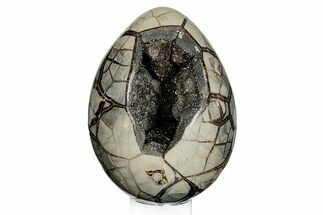 Septarian Dragon Egg Geode - Black Crystals #271143