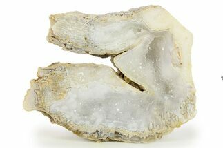 Agatized Fossil Coral Geode With Sparkly Quartz - Florida #271621