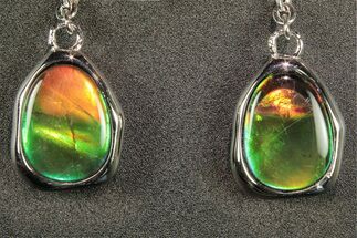 Flashy Ammolite (Fossil Ammonite Shell) Earrings with Sterling Silver #271759