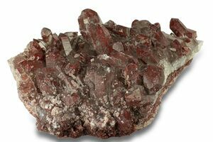 3.3 Natural, Dark Red Quartz Crystal Cluster - Morocco (#51557