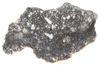 Polished Lunar Meteorite Slice ( g) - NWA #262858