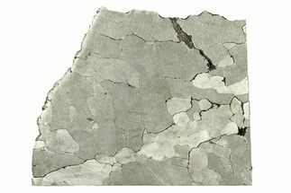 Etched Uruacu Iron Meteorite Slice ( g) - Brazil #272274