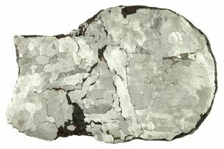 Etched Uruacu Iron Meteorite Slice ( g) - Brazil #272275