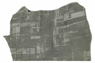 Etched Gibeon Iron Meteorite ( g) Slice - Namibia #272605