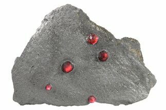 Plate of Five Red Embers Garnets in Graphite - Massachusetts #272716