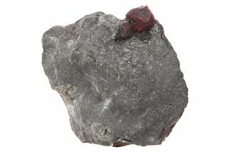 Plate of Two Red Embers Garnets in Graphite - Massachusetts #272745