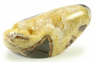 Polished Crystal Filled Septarian Nodule - Utah #272915