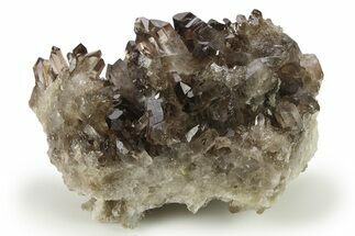 Dark Smoky Quartz Crystal Cluster - Brazil #272994