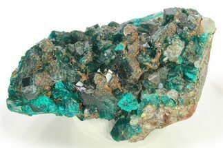 Lustrous Dioptase Crystal Cluster - Republic of the Congo #272942