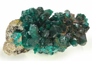 Gemmy Dioptase Crystals - Republic of the Congo #272954