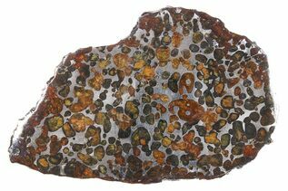 Sericho Pallasites For Sale