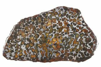 Polished Sericho Pallasite Meteorite ( g) Slice - Kenya #273229