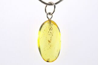Polished Baltic Amber Pendant (Necklace) - Contains Mite! #273251