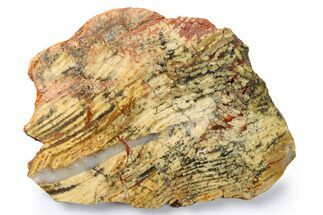 Polished Strelley Pool Stromatolite Slab - Billion Years Old #273560