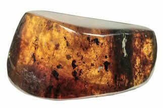 Polished Chiapas Amber (g) - Mexico #274415