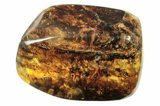 Polished Chiapas Amber ( g) - Mexico #274424