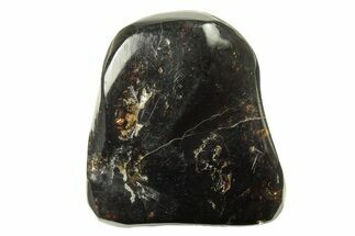 Polished Chiapas Amber ( g) - Mexico #274425