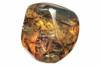 Polished Chiapas Amber ( g) - Mexico #274434