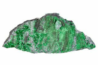 Green Uvarovite (Garnet Group) Cluster - Russia #274391