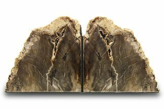 Polished Petrified Wood Bookends - Washington #274866