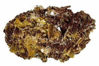 Yellow Wulfenite Crystals - Lucin, Utah #274913