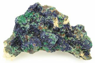 Sparkling Druzy Azurite and Malachite on Dolomite - Morocco #274504