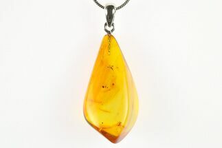 Polished Baltic Amber Pendant (Necklace) - Contains Fly! #275725