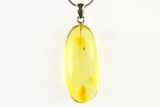 Polished Baltic Amber Pendant (Necklace) - Contains Fly! #275732