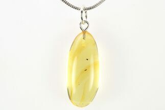 Polished Baltic Amber Pendant (Necklace) - Contains Flies! #275749