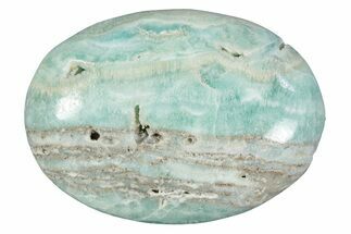 Polished Blue Caribbean Calcite Palm Stone #275568