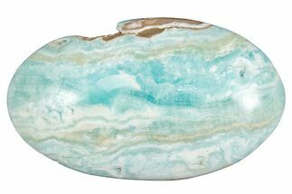 Polished Blue Caribbean Calcite Palm Stone #275581