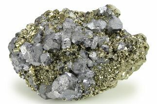 Sparkling Pyrite Crystals with Galena - Peru #276062