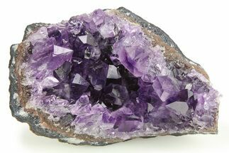 Glassy Purple Amethyst Crystal Cluster - Uruguay #276285