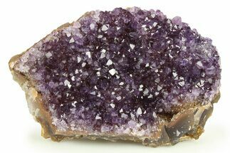 Sparkling Purple Amethyst Crystal Cluster - Uruguay #276291