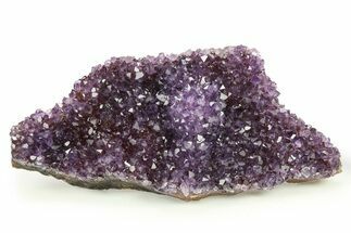 Sparkling Purple Amethyst Crystal Cluster - Uruguay #276313