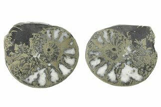Pyritized Cut Ammonite Fossil Pair - Morocco #276640