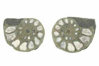 Pyritized Cut Ammonite Fossil Pair - Morocco #276654
