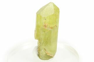 Gemmy Yellow-Green Apatite Crystal - Morocco #276505