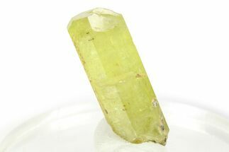 Gemmy Yellow-Green Apatite Crystal - Morocco #276537